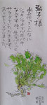 水菜(巻紙)