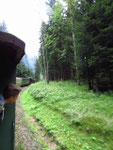 Auf der Strecke