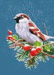 Winter Spatz