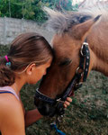 "Dernier adieu de Lili à sa ponette qui part pour le long voyage atteint d'une maladie incurable au foie cette ponette a été euthanasiée"