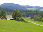 Zwischen Hinterzarten und Titisee ist am 03. August 2010 eine 143 mit ihrem aus Freiburg kommenden Regionalzug unterwegs.