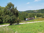 Ländliche Idylle pur! Ein Desiro der Hessischen Landesbahn ist am 14.08.2012 auf der Linie der Kahlgrundbahn unterwegs als HLB 24682 von Kahl am Main nach Schöllkrippen. Soeben hat er Mensengesäß verlassen und rollt weiter gen Schimborn.