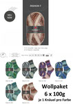 Wollpaket Pro Lana Golden Socks Fashion T