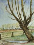 Landschaft mit Kopfweide bei Batenhorst, 1996, Aquarell, 46x34