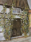 Fachwerkhaus mit Rosenstock, 1989, Aquarell, 37x27