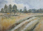 In der Senne, 1984, Aquarell, 30x40
