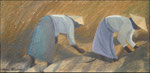 Harvesters