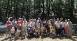 Pichauris  17/06