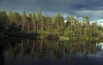 Parc national de Pasvik