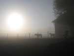 © Helfensteinhof Weiler o.H.