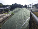 令和5年5月撮影　熊本市給食調理センター　植樹ニューマットC-3
