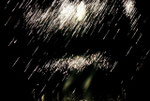 "Lichtspiele"  20x30cm  2010