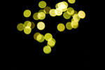 "Lichtspiele"    2010