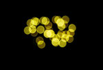 "Lichtspiele"    2010