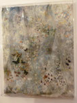 "jardin de l´impermanence",  Öl auf Gaze, Schmetterlinge und Insekten,  Objektkasten  130cm x 160cm ,   2015