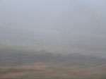 "Landschaft im Nebel" (Irland)  2013