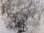 o.T.  Öl auf Zeichenkarton   4ox40cm  2011
