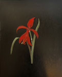 Jürgen Kramer: *Amaryllis*, 1993/1994, Öl/Leinwand, 40 x 30 cm