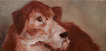 Pavel Feinstein: *N 1015* (Hund), 2005, Öl/Leinwand, 24 x 50 cm