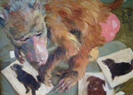 Johannes Grützke: *Ohne Worte (Pavianweibchen mit Hunden)* 2000, Öl/Leinwand, 40 x 55 cm