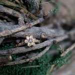 750er Gelbgoldring mit champagnerfarbenem Brillant, 800 Eur