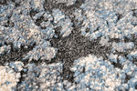 Obsession - Bologna - BOA 460 Blue