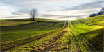 Weg in der Weite. Bildformat: 1:2