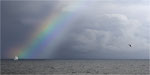 Arc en ciel sur mer Baltique. Bildformat: 1/2