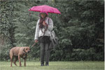 Hundewetter. Bildformat: 1 / 1,5
