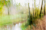 Au bord de l´eau. Bildformat: 3:2
