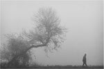 Spaziergand im Nebel. Bildformat: 1 / 1,5