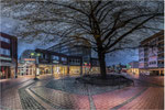 Salzgitter-Lebenstedt, in den Blumentriften. Bildformat: 1 / 1,5