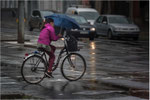 Radel im Regen. Bildformat: 1 / 1,5