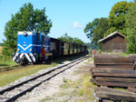 T48.001 mit dem Touristenzug in Blazejov