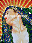 The Phoenix Dolorosa ©2024, Acrylic on Canvas, Dimensions 18" x 24" h 