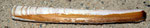 Ensis ensis. long : 15 cm