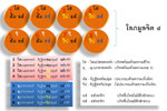 โลภมูลจิต ๘