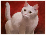 "Zausel"  30 x 40 cm
