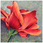 "Rose rot"  20 x 20 cm  (verkauft)