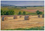 "Strohballen"  50 x 70 cm  (Privatbesitz)