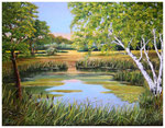 "Birken am Weiher"  60 x 80 cm  (verkauft)