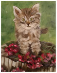 "Kätzchen 1"  30 x 24 cm (verkauft)