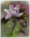 "Magnolie"  50 x 40 cm (verkauft)