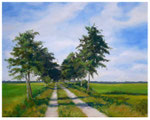 "Birkenweg"  40 x 50 cm  (verkauft)