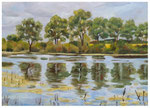 "Polderwiese Odertal"  30 x 40 cm