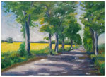 "Rapsfeld bei Crussow"  30 x 40 cm (verkauft)