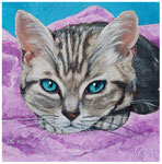"Kätzchen 3"  30 x 30 cm (verkauft)