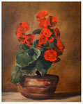 "Begonie" nach Werner Weber 50 x 40 cm