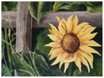 "Sonnenblume"  30 x 40 cm (verkauft)