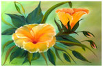 "Hibiskus"  40 x 60 cm (verkauft)